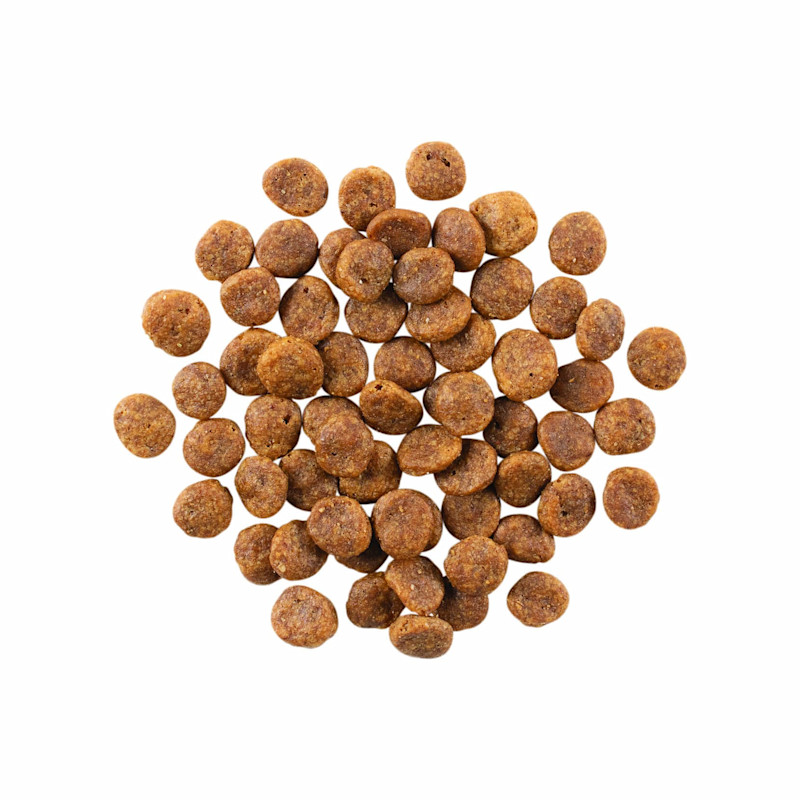 GO! SOLUTIONS SENSITIVITIES Limited Ingredient Grain-Free Turkey Recipe for Dogs kibble