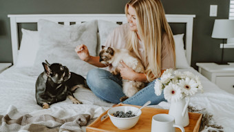 Woman eating blueberries on bed with cat and French Bulldog