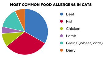 Pie chart of the Most Common Food Allergens in Cats