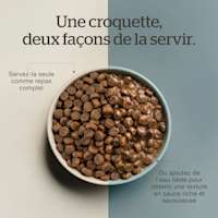 Serve dry or add warm water to unlock gravy goodness