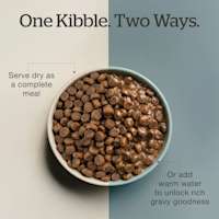 Serve dry or add warm water to unlock gravy goodness