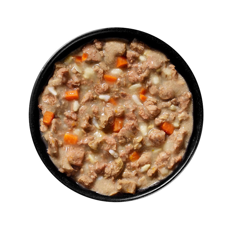 Bowl of GO! SOLUTIONS SKIN + COAT CARE Minced Chicken Recipe with Grains for Cats