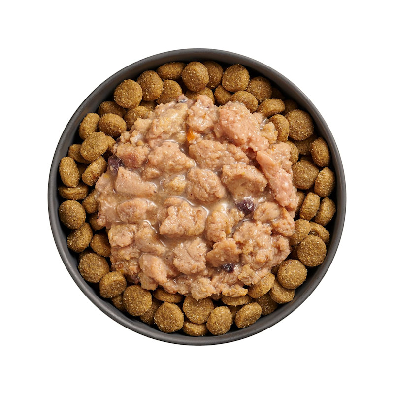 Bowl of kibble topped with Go! Booster Immune Health Minced Chicken recipe for dogs