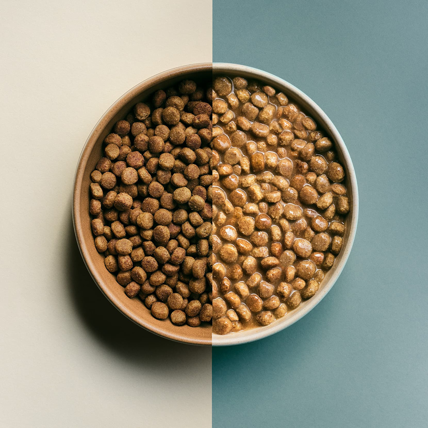 Pros and Cons of Putting Water in Kibble for Dogs | Now Fresh