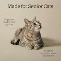 Made for senior cats
