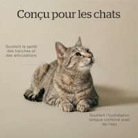 Made for senior cats