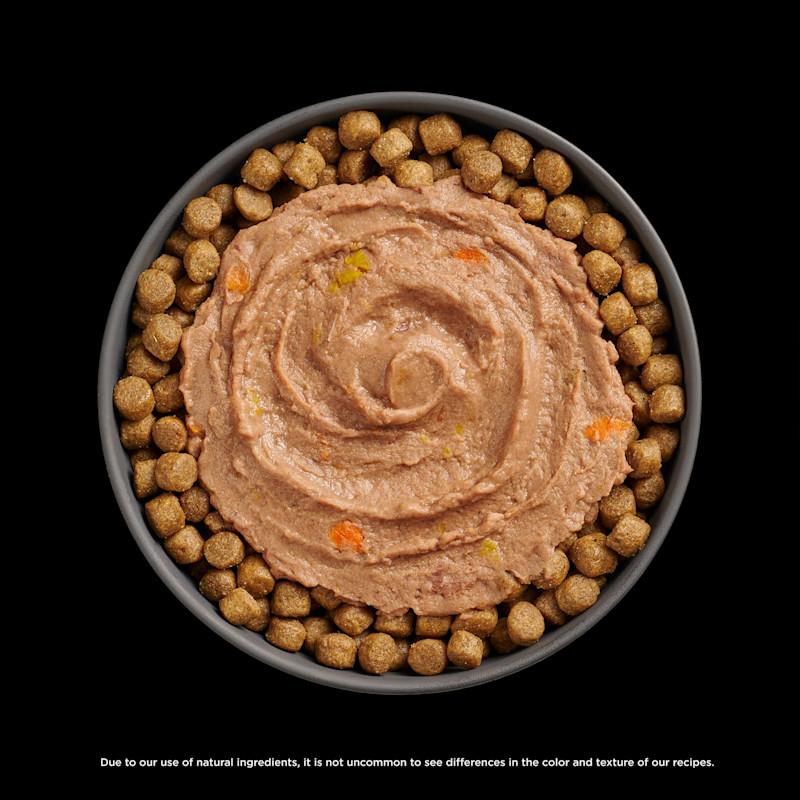 Go! Solutions Booster Tuna + Salmon Pâté food topper on bowl of kibble