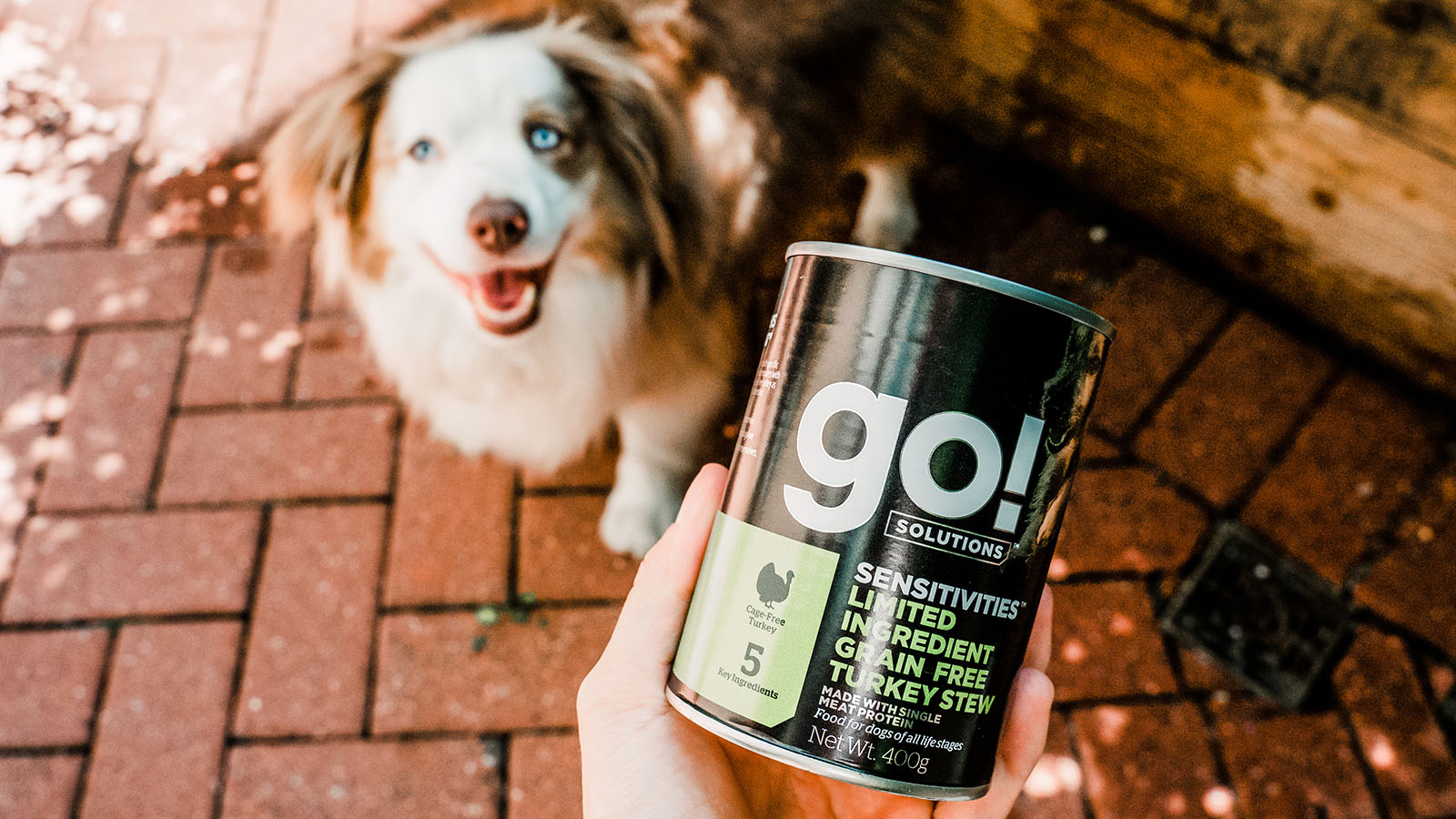 Where to Buy Go! Dog Food + Cat Food Go! Solutions