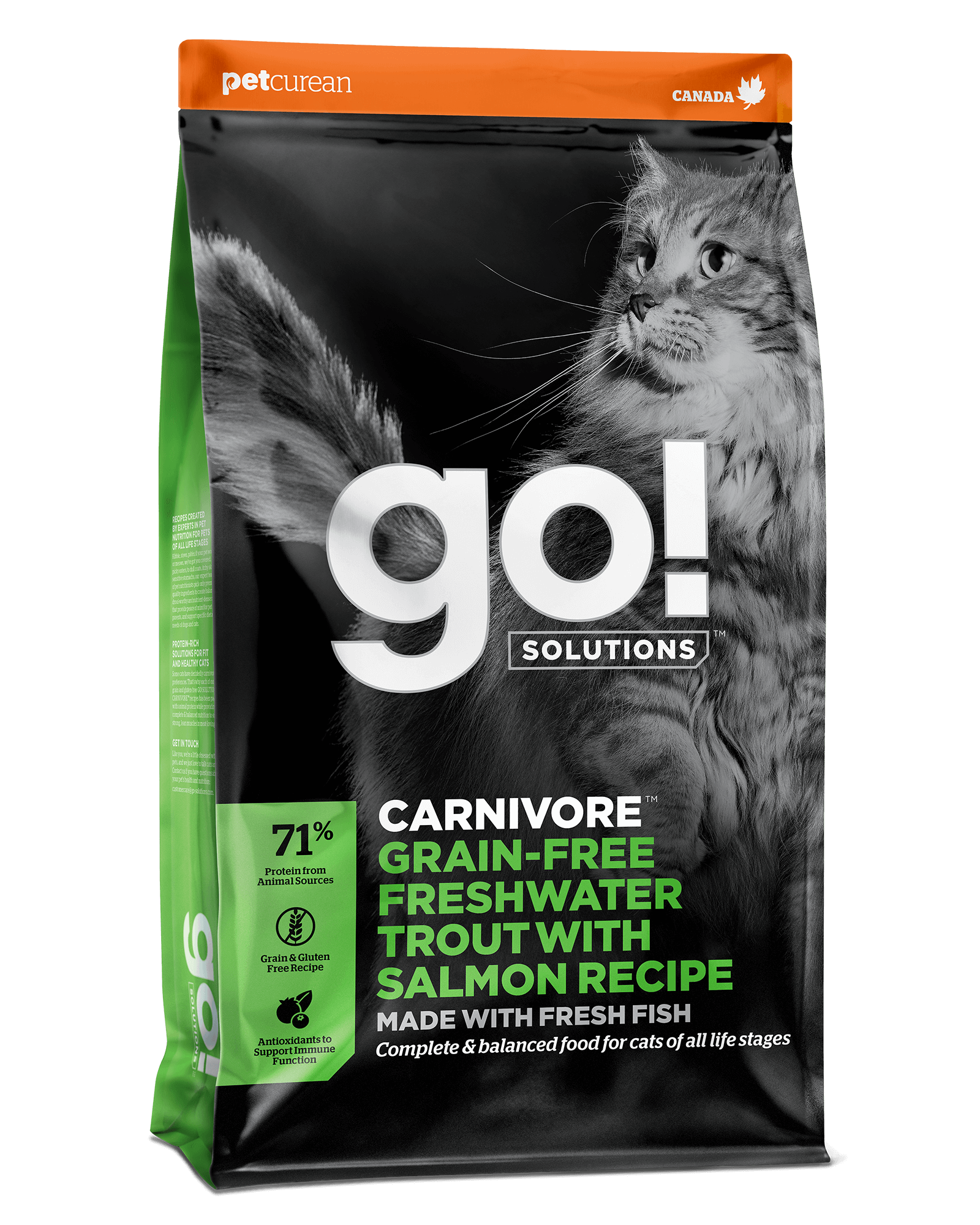 Go! Solutions Carnivore מתכון טרוטה ממים מתוקים ללא גרעינים עם סלמון ללא דגנים