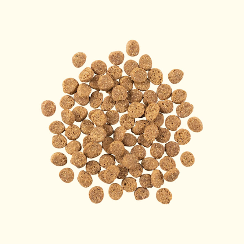 Gather Free Acres Recette avec du poulet biologique élevé en liberté