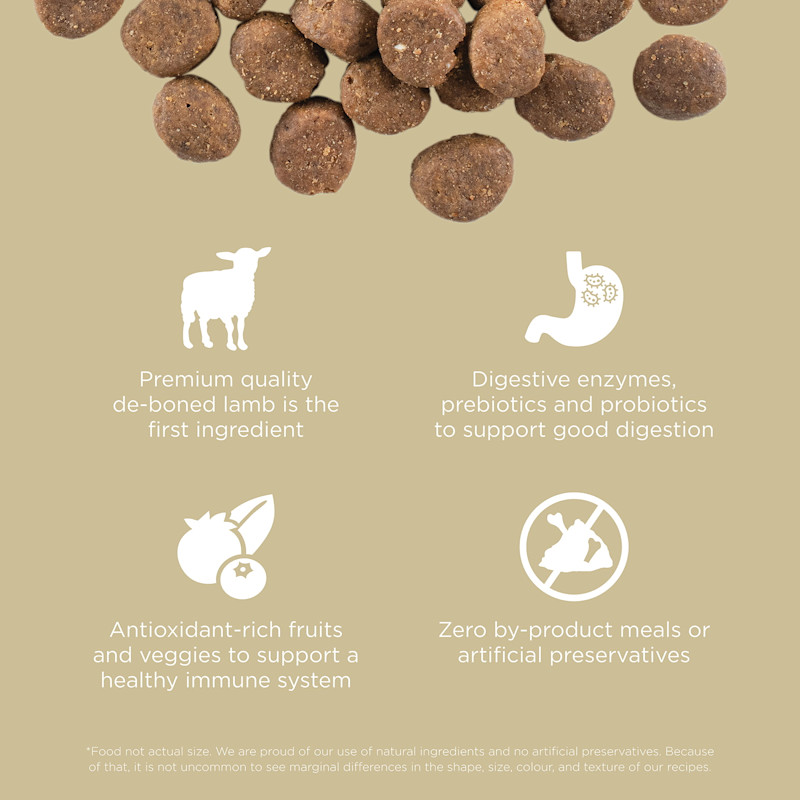 Premium-quality de-boned lamb, digestive enzymes, antioxidant-rich ingredients, and zero by-product meals