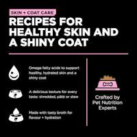 Recipes for healthy skin and a shiny coat