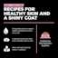 Recipes for healthy skin and a shiny coat