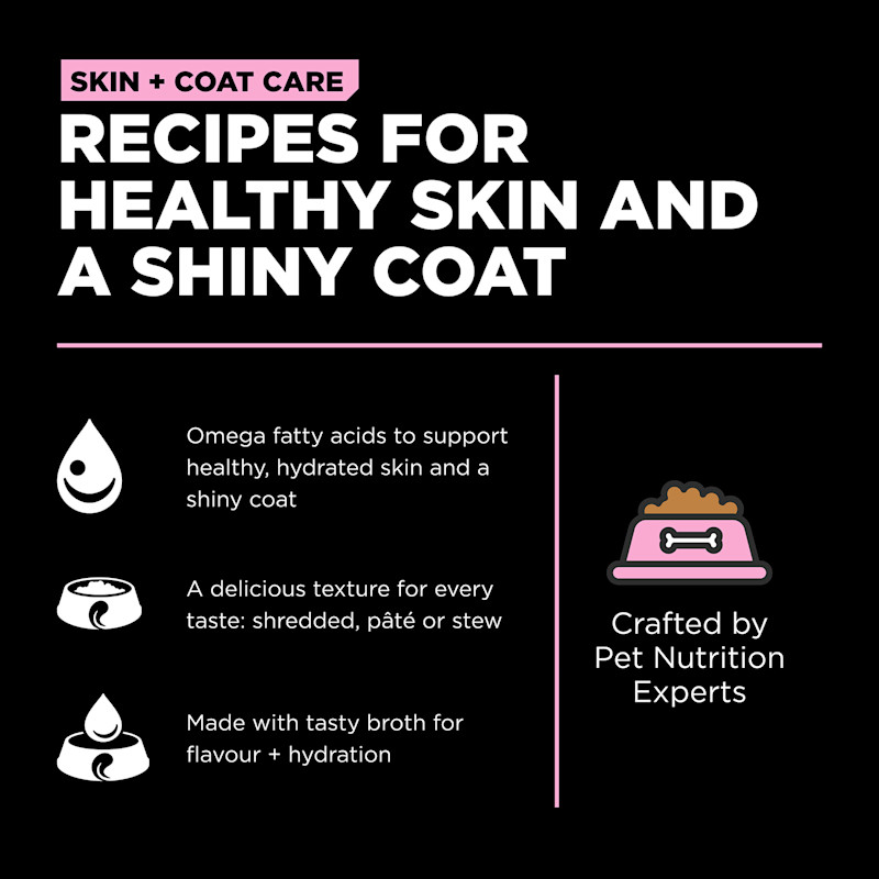 Recipes for healthy skin and a shiny coat