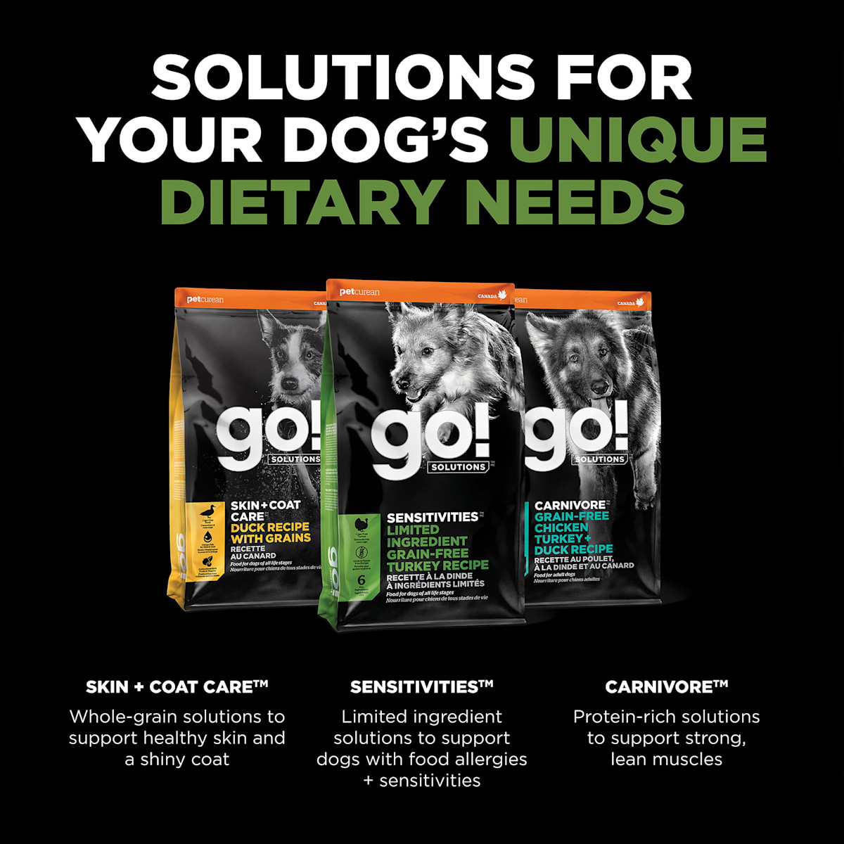 Explore our other solutions for your dog's unique dietary needs