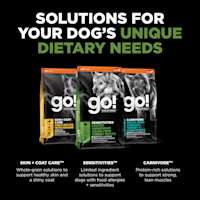 Explore our other solutions for your dog's unique dietary needs