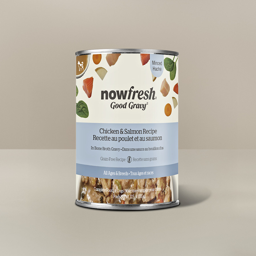 Now Fresh Good Gravy Chicken & Salmon Recipe wet food for dogs