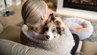 Puppy in woman's arms looking into camera