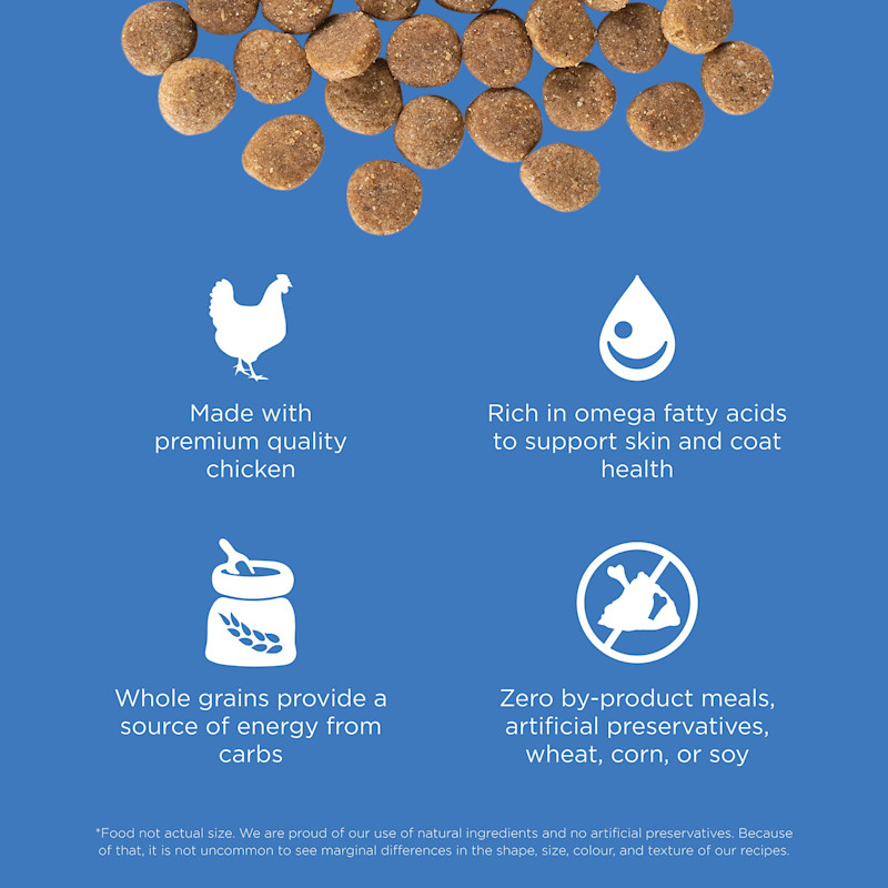 Made with premium-quality chicken, rich in omega fatty acids, with whole grains, and zero by-product meals