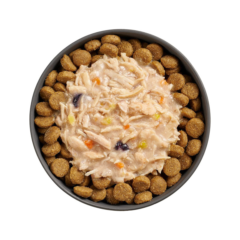 Bowl of kibble topped with Go! Booster Immune Health Shredded Chicken + Salmon recipe for dogs