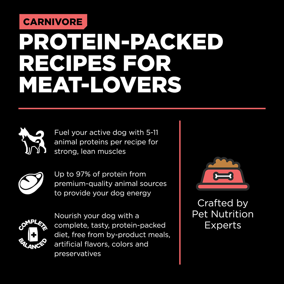 Protein-packed recipes for meat lovers