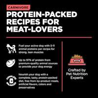 Protein-packed recipes for meat lovers