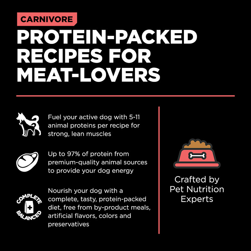 Protein-packed recipes for meat lovers