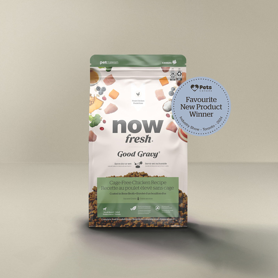 Now Fresh Good Gravy Cage-Free Chicken Recipe for small breed dogs, Pets Canada Favourite New Product Winner