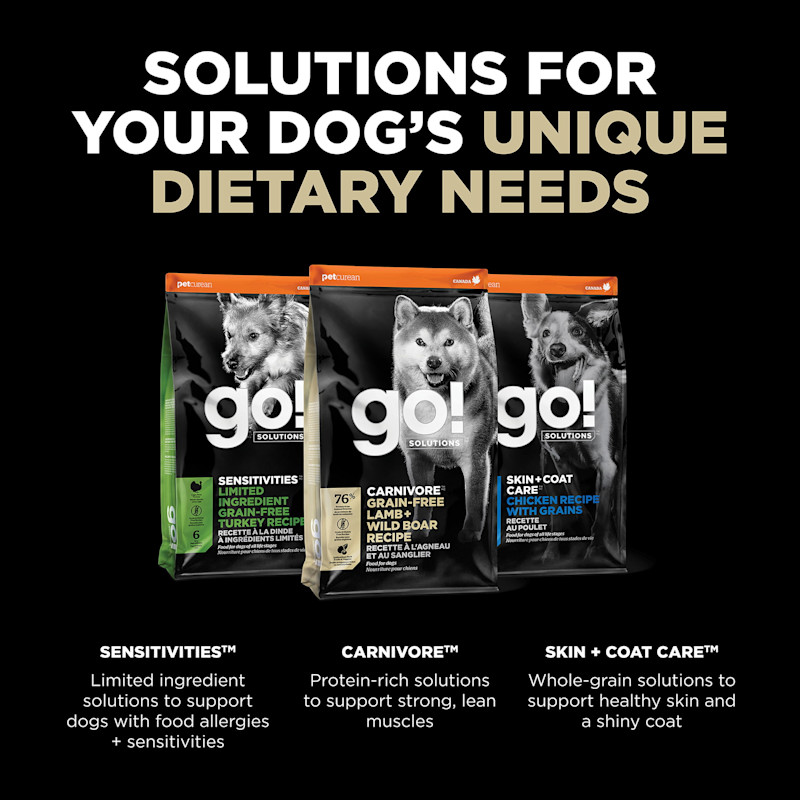 Explore our other dog food solutions