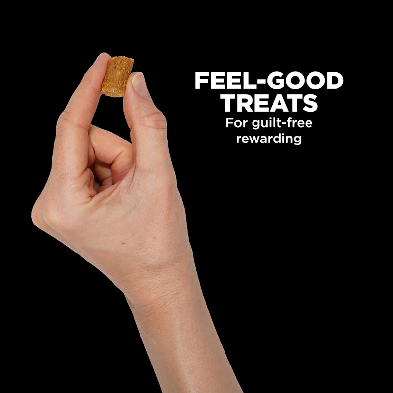 Feel good treats for guilt-free rewarding