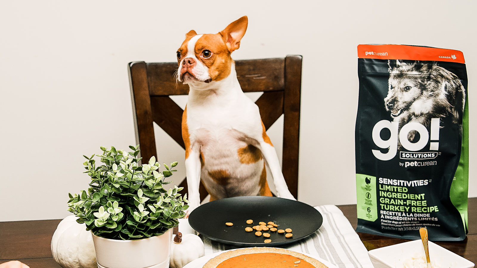 GO! SOLUTIONS SENSITIVITIES Limited Ingredient GrainFree Turkey Recipe