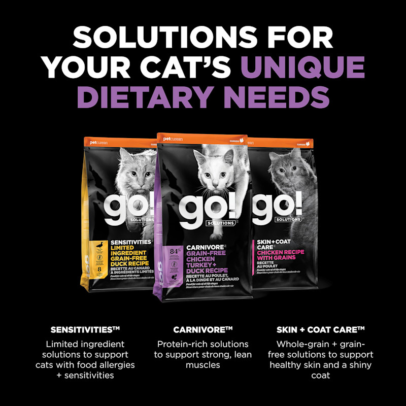 Solutions for your cat's unique dietary needs