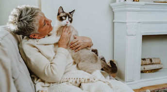 Woman cuddling cat on couch