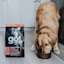Golden Retriever dog eating Go! Solutions Sensitivities Salmon kibble from bowl