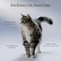Versatile feeding for picky cats, supports good digestion, and healthy weight support for adult cats