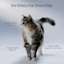Versatile feeding for picky cats, supports good digestion, and healthy weight support for adult cats