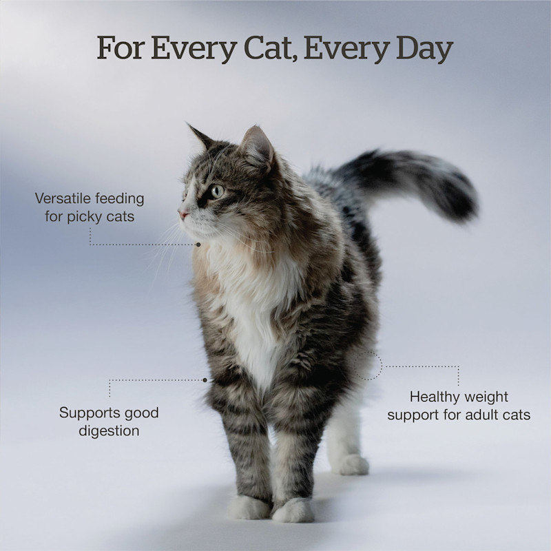 Versatile feeding for picky cats, supports good digestion, and healthy weight support for adult cats