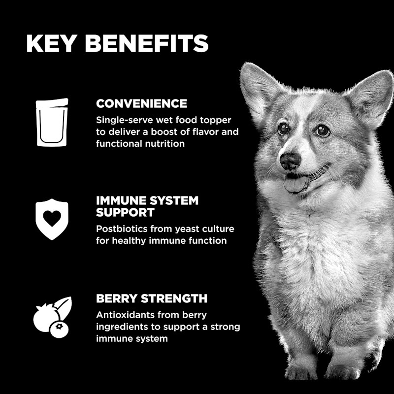 Convenient to serve, postbiotics for healthy immune function, and antioxidants from berries