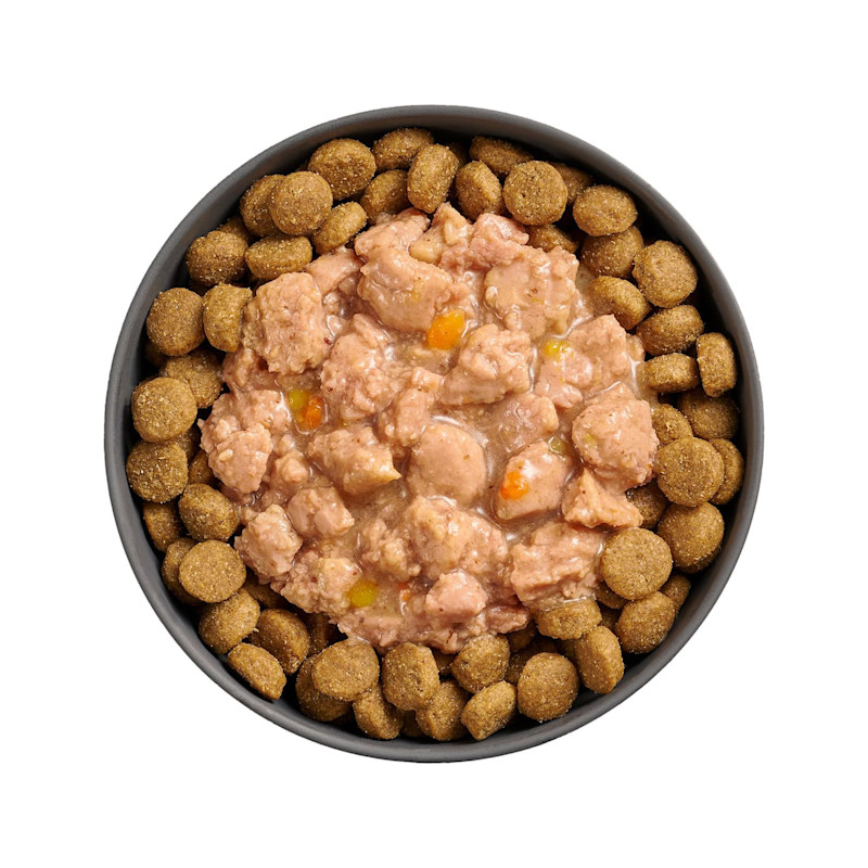 Bowl of kibble topped with Go! Booster Tranquility Minced Chicken recipe for dogs