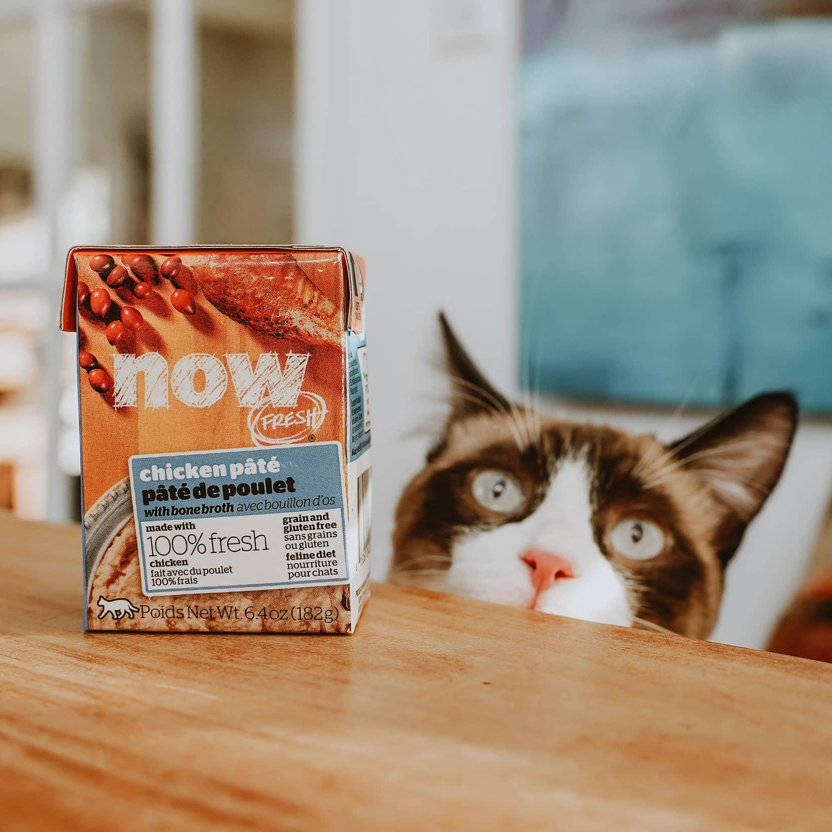 Now fresh hot sale cat food