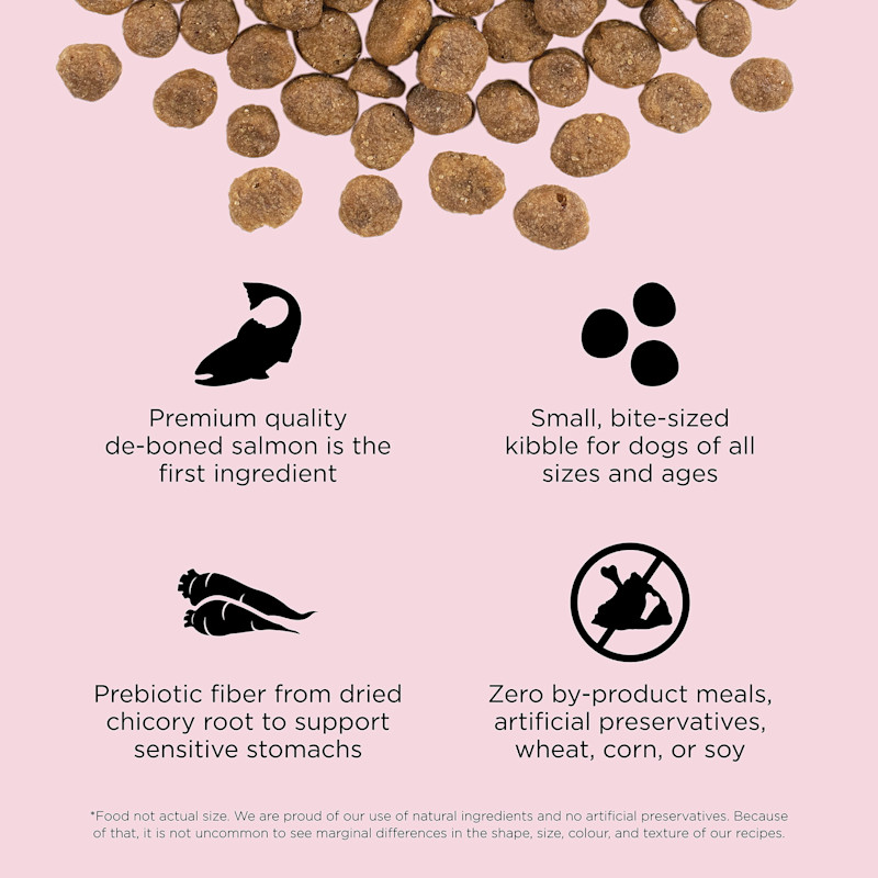 Premium-quality de-boned salmon as the first ingredient, small, bite-sized kibble, prebiotic fibre from chicory root, and zero by-product meals