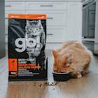 Cat eating Go! Solutions Skin + Coat Care kibble from bowl