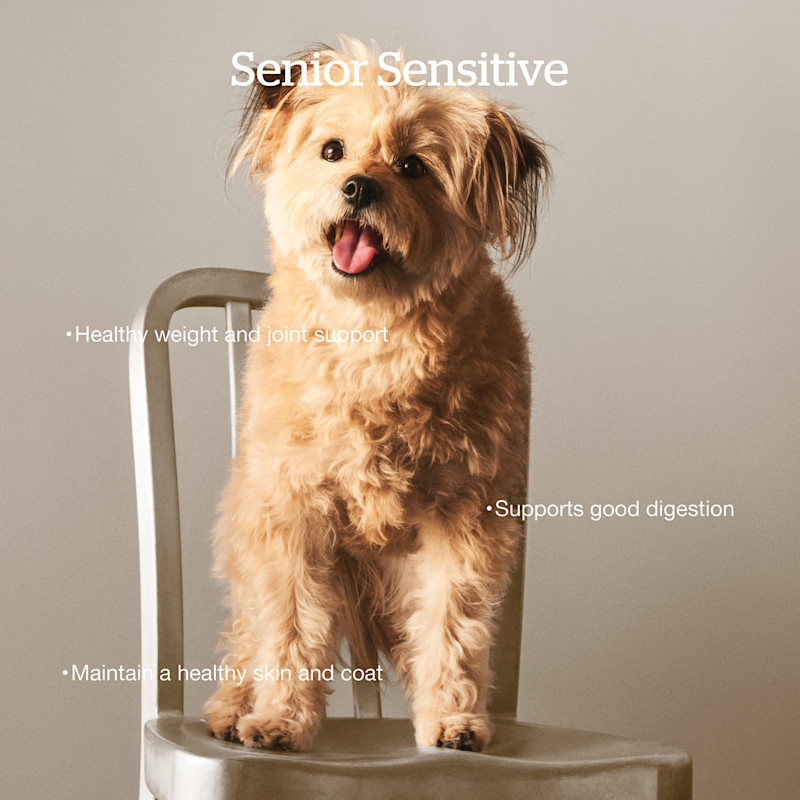 Healthy weight and joint support, supports good digestion, maintains a healthy skin and coat