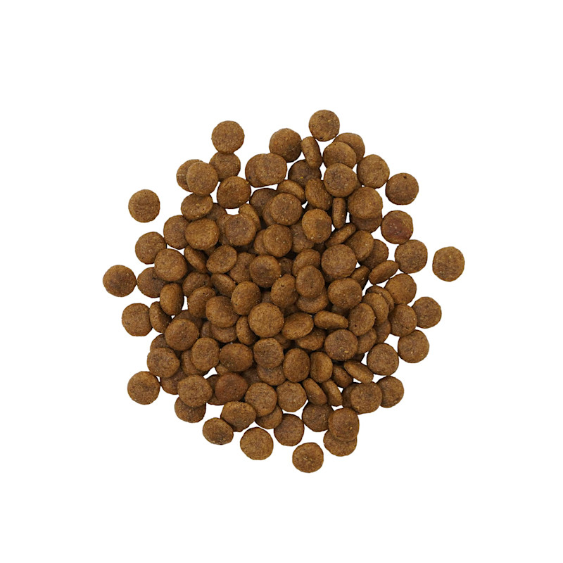 Go! Sensitivities Insect Recipe for dogs kibble