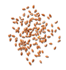 Pile of flaxseed