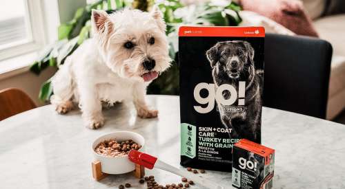 West Highland White Terrier with a bowl of GO! SOLUTIONS SKIN + COAT CARE Turkey Recipe with Grains dry food