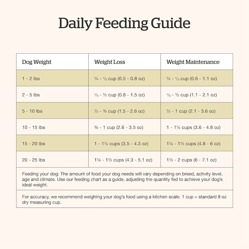 Now Fresh Small Breed Senior Recipe dog food feeding guide