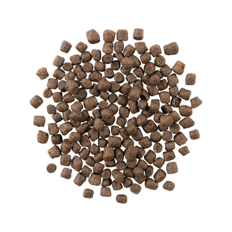 GO! SOLUTIONS CARNIVORE Grain-Free Freshwater Trout + Salmon Recipe for Cats kibble