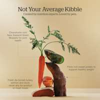 Created by nutrition experts and loved by pets