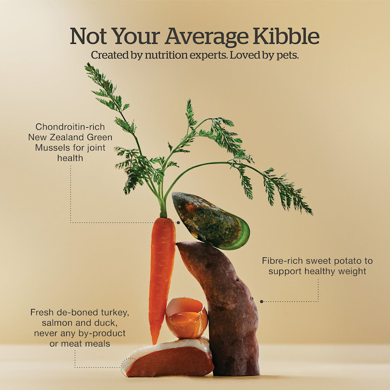 Created by nutrition experts and loved by pets